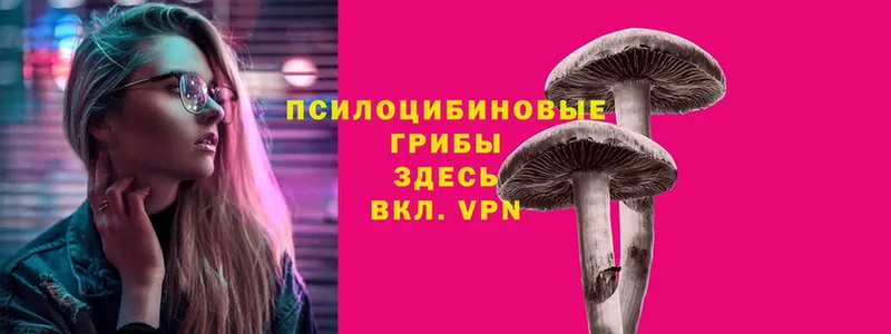 Галлюциногенные грибы Magic Shrooms  Благодарный 